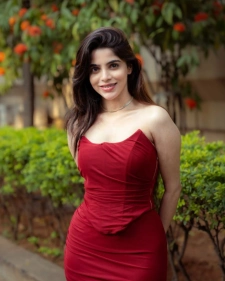 Indore Escort Services